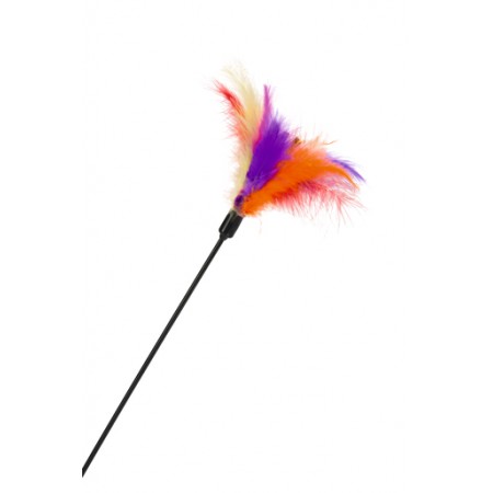 Beeztees Gekleurde Veren - Kattentickler - 45 cm 45x0.04x0.04