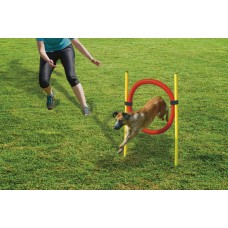 Beeztees Agility Hoepel Set - Hondenspeelgoed - Dia. 60 cm 60X60X5