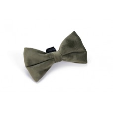 Designed by Lotte Hondenstrik Zaza - Halsband Hond - Velvet - Groen - 12x7x2 cm 12x7x2