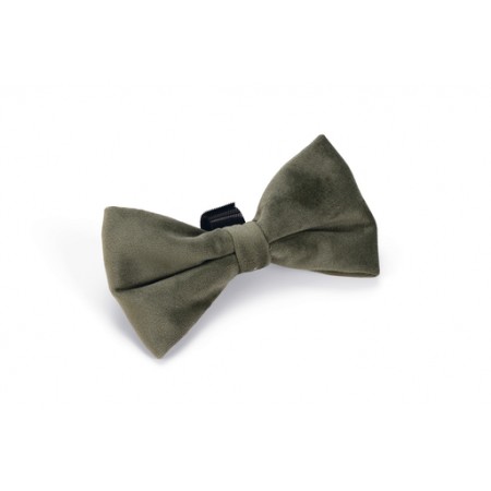Designed by Lotte Hondenstrik Zaza - Halsband Hond - Velvet - Groen - 12x7x2 cm 12x7x2 Designed by Lotte Hondenstrik Zaza - Halsband Hond - Velvet - Groen - 12x7x2 cm 12x7x2