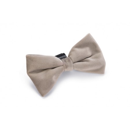 Designed by Lotte Hondenstrik Zaza - Halsband Hond - Velvet - Grijs - 12x7x2 cm 12x7x2 Designed by Lotte Hondenstrik Zaza - Halsband Hond - Velvet - Grijs - 12x7x2 cm 12x7x2
