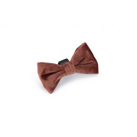 Designed by Lotte Hondenstrik Zaza - Halsband Hond - Velvet - Roze - 9x5x1 cm 9x5x1 Designed by Lotte Hondenstrik Zaza - Halsband Hond - Velvet - Roze - 9x5x1 cm 9x5x1
