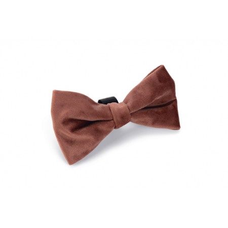 Designed by Lotte Hondenstrik Zaza - Halsband Hond - Velvet - Roze - 12x7x2 cm 12x7x2 Designed by Lotte Hondenstrik Zaza - Halsband Hond - Velvet - Roze - 12x7x2 cm 12x7x2