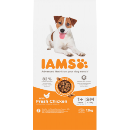 Iams dog adult small/medium chicken 12kg -